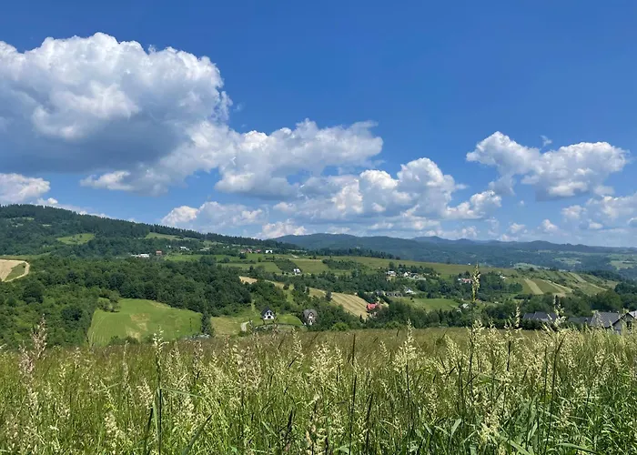 Przystanek Przylasek